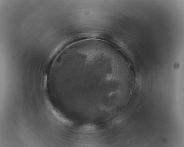 X0000112890110200908281710