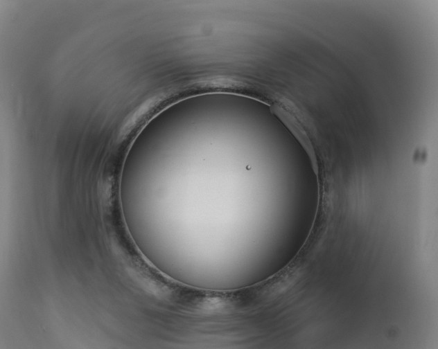 X0000112890111200908281710