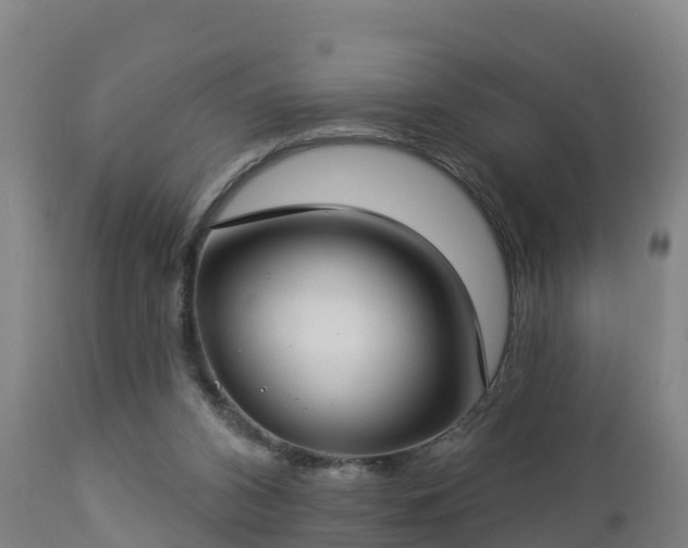X0000112890112200908281710