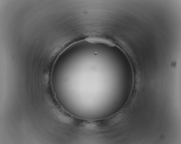 X0000112890113200908281710