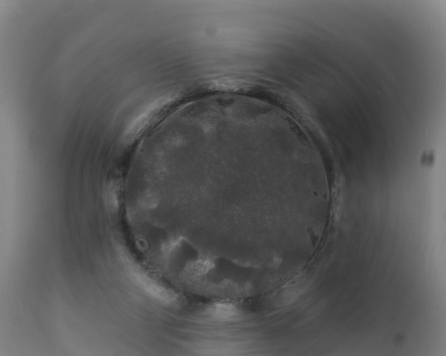 X0000112890114200908281710