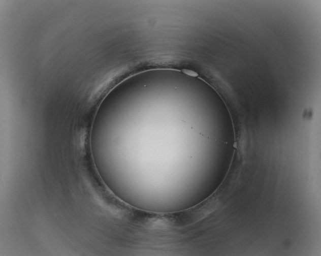 X0000112890115200908281710