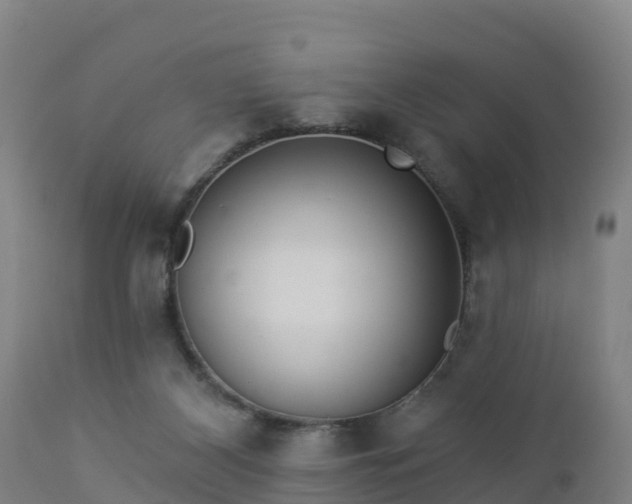 X0000112890116200908281710