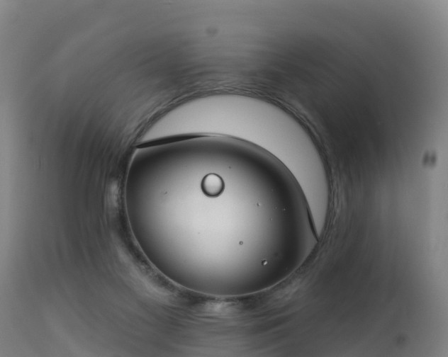 X0000112890117200908281710