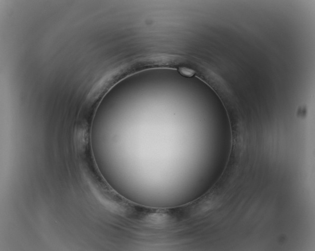 X0000112890119200908281710