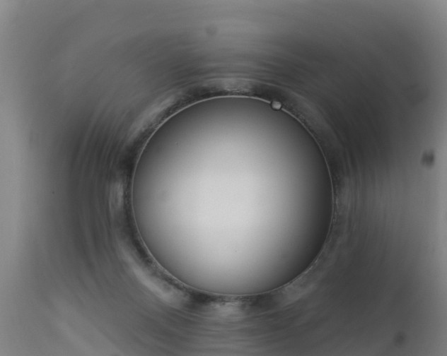 X0000112890120200908281710