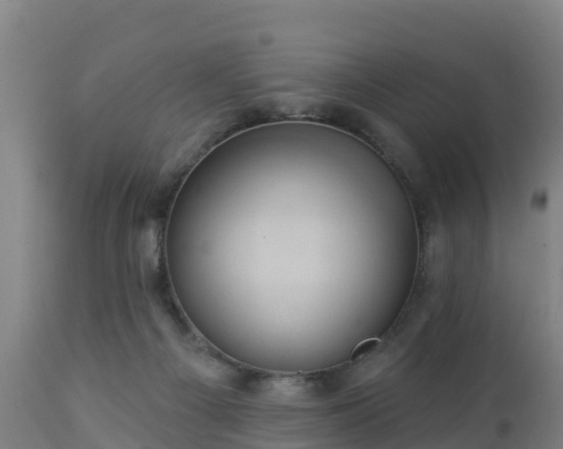 X0000112890121200908281710