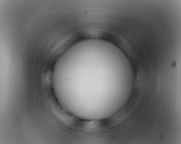 X0000112890122200908281710