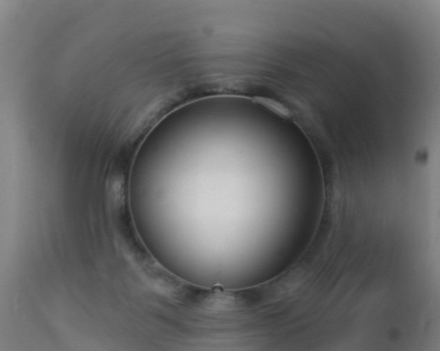 X0000112890123200908281710