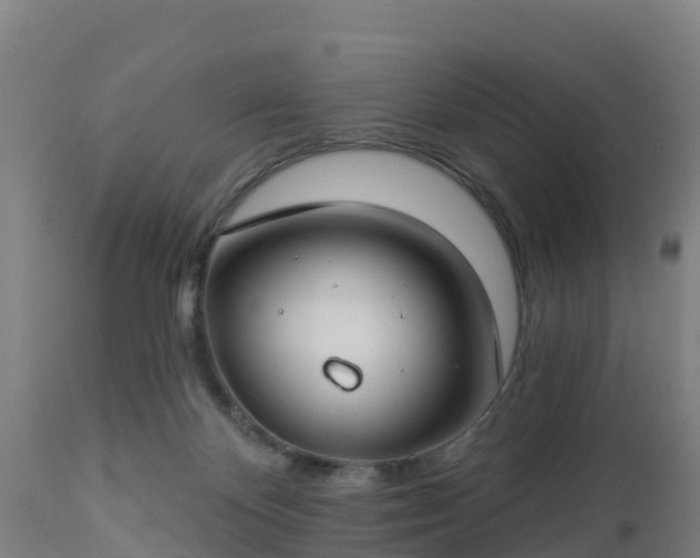 X0000112890124200908281710