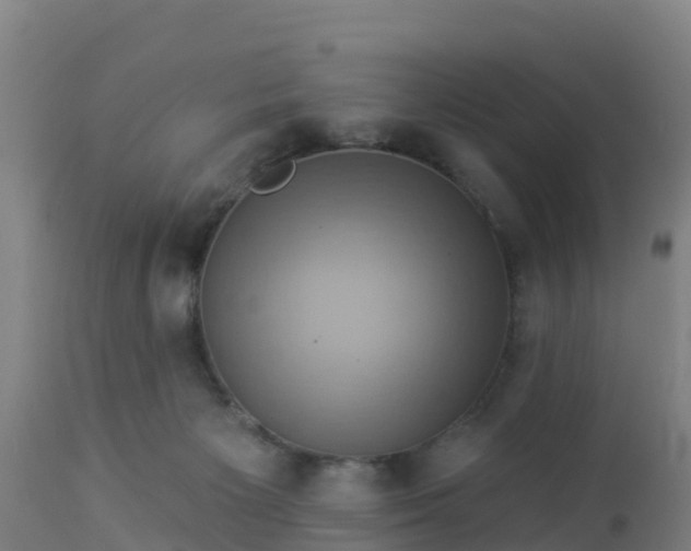 X0000112890125200908281710
