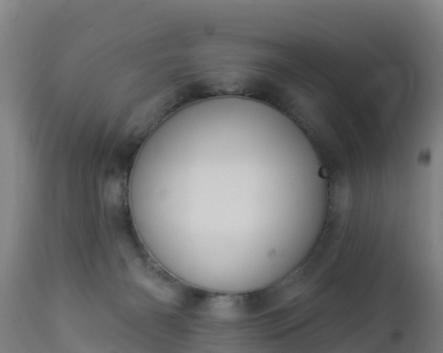 X0000112890126200908281710