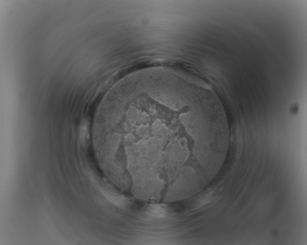 X0000112890127200908281710