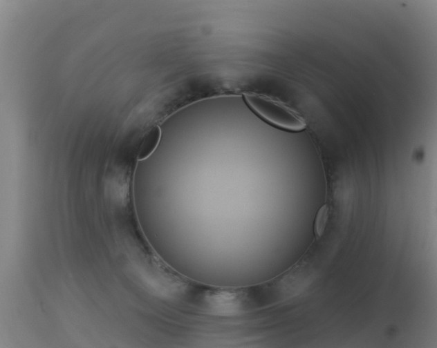X0000112890129200908281710
