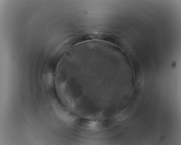 X0000112890130200908281710