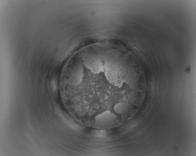 X0000112890131200908281710