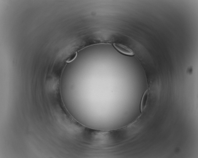 X0000112890132200908281710