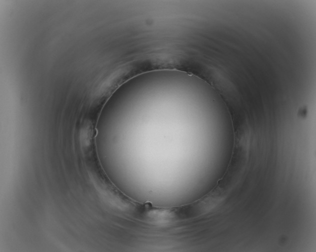 X0000112890133200908281710