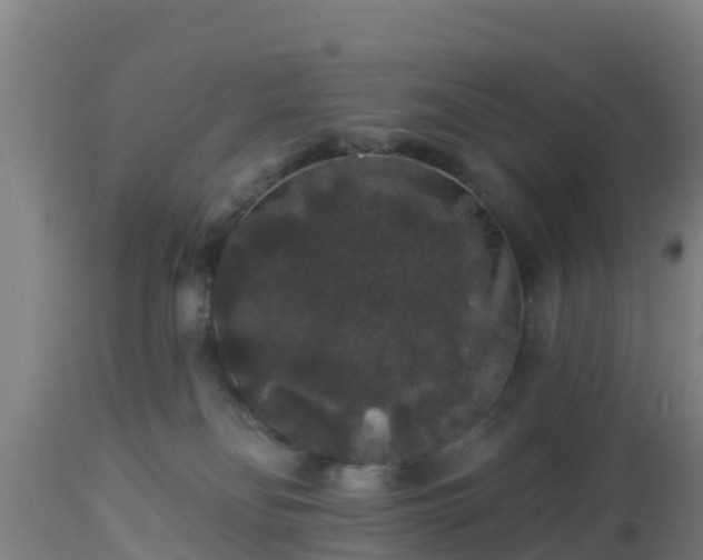 X0000112890134200908281710