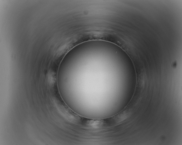 X0000112890135200908281710