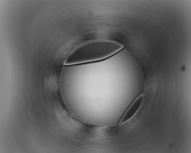X0000112890136200908281710