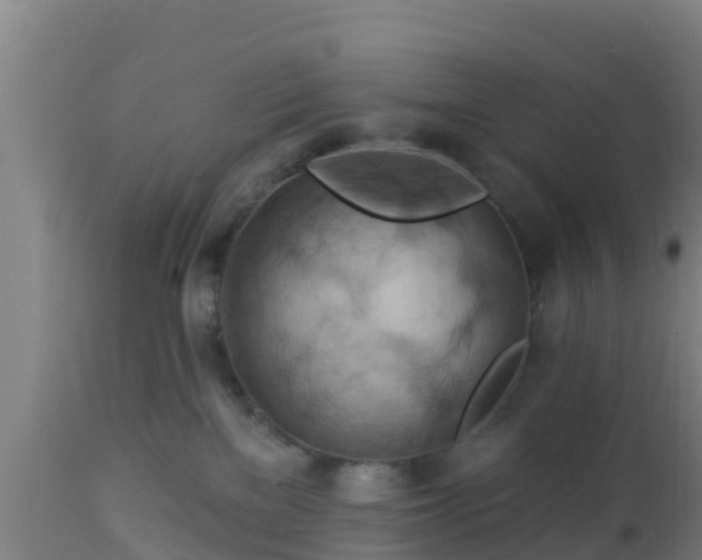 X0000112890137200908281710