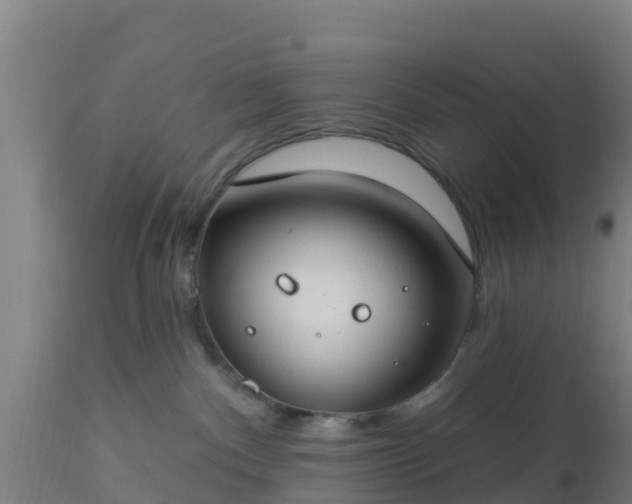 X0000112890140200908281710