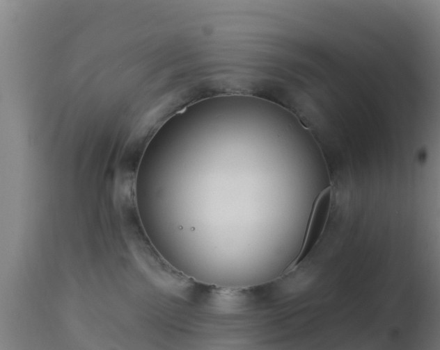 X0000112890141200908281710