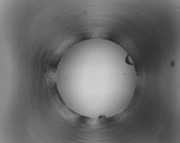 X0000112890142200908281710