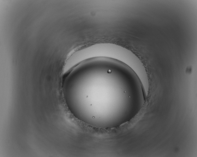 X0000112890144200908281710