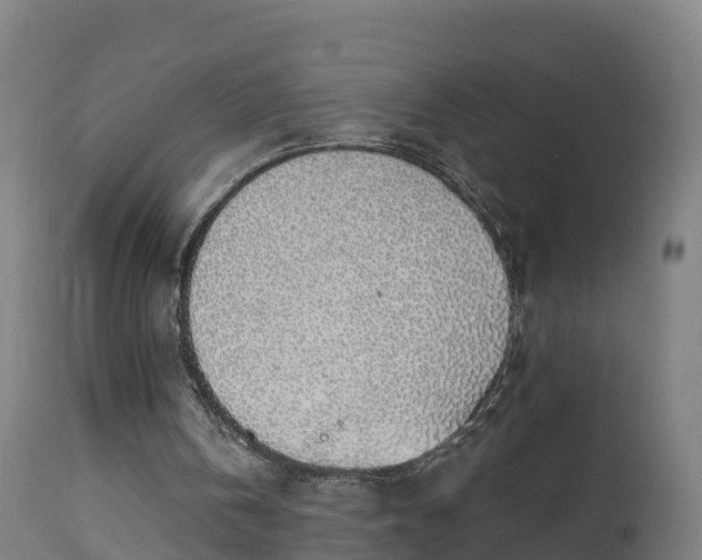X0000112890146200908281709