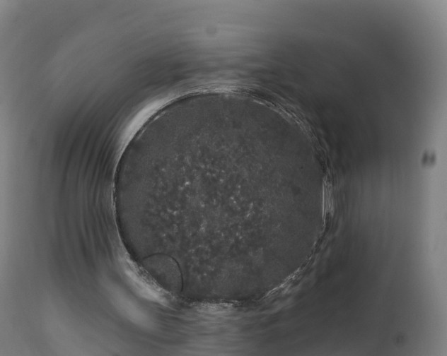 X0000112890147200908281709