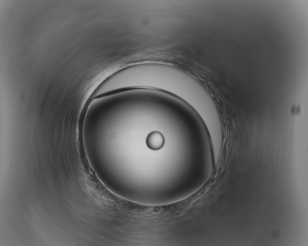 X0000112890148200908281709
