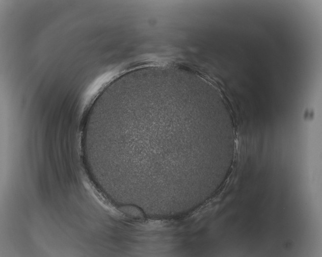 X0000112890149200908281709
