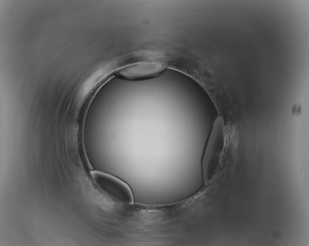 X0000112890150200908281709