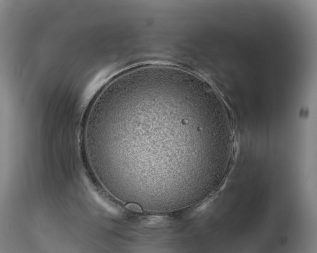 X0000112890151200908281709