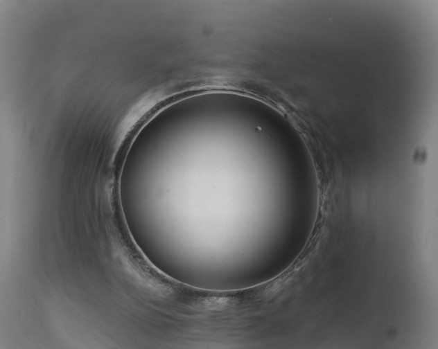 X0000112890152200908281709