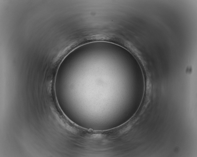 X0000112890153200908281709