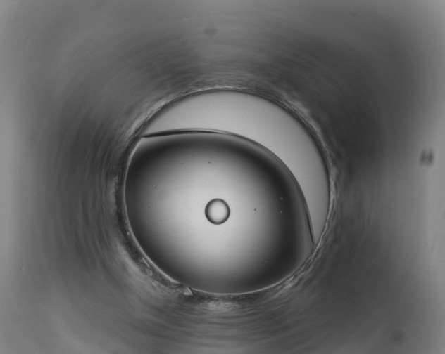 X0000112890154200908281709