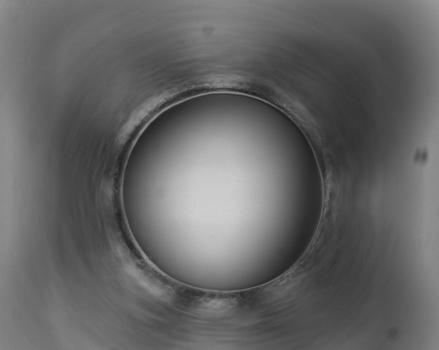 X0000112890155200908281709