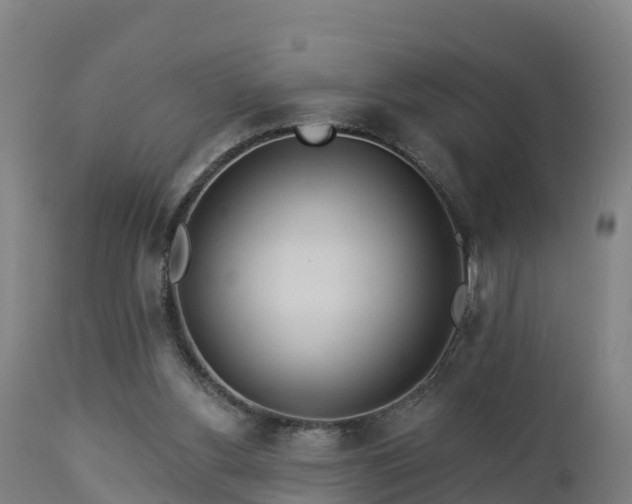 X0000112890156200908281709