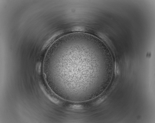 X0000112890157200908281709