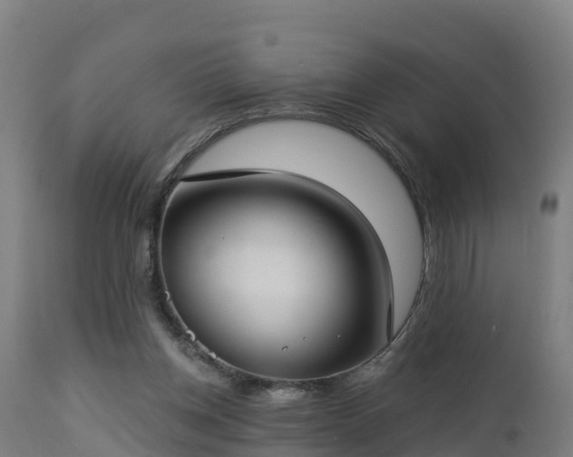 X0000112890158200908281709