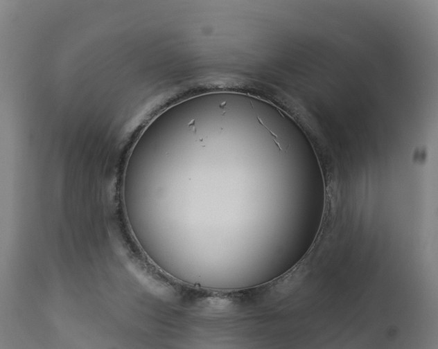 X0000112890159200908281709