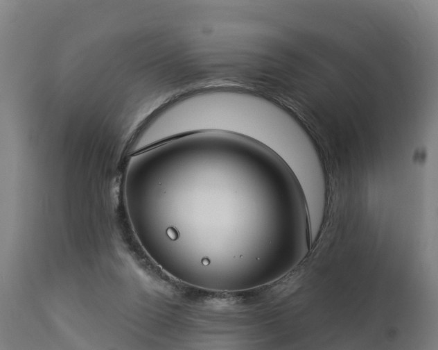 X0000112890160200908281709