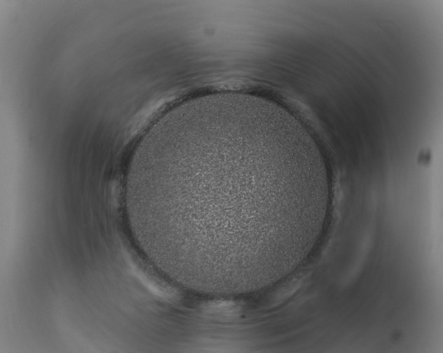 X0000112890161200908281709