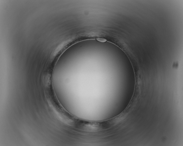 X0000112890164200908281709