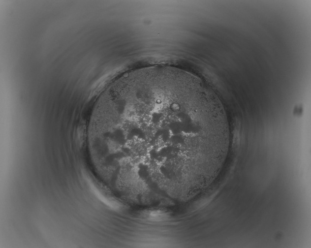 X0000112890165200908281709
