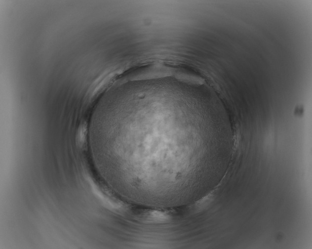 X0000112890166200908281709
