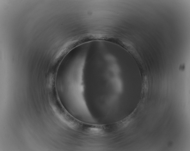 X0000112890167200908281709